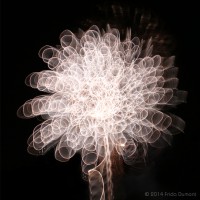 /album/light-painting1/frida-dumont-img-0650-jpg2/